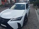 lexus-ux-hybrid-4wd-f-sport