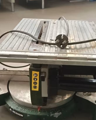 Sega elettrica Stayer