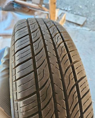 2 gomme EVERGREEN 165/70 R13 79 T