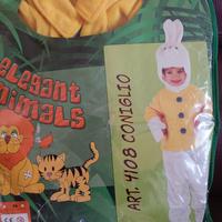 Vestito carnevale coniglio