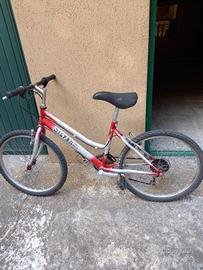 Bicicletta Silver Star 