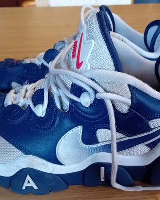 Nike Air Barrage Low