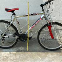 Bicicletta Mountain bike