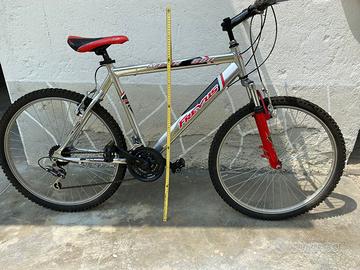 Bicicletta Mountain bike