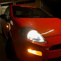 Grande Punto young gpl