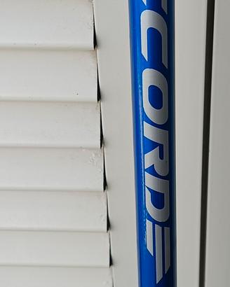 Canna da pesca modello Bolognesina da 4 mt