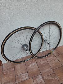 Ruote campagnolo 