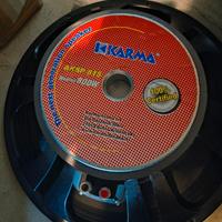 Woofer 15 pollici (38cm)