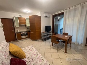 Seriate Ampio Bilocale arredato