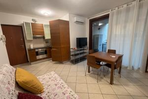 Seriate Ampio Bilocale arredato