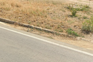 Terreno agricolo incolto