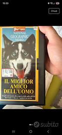 Vhs: Il miglior amico dell'uomo  - National  Geogr