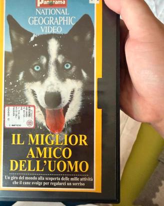 Vhs: Il miglior amico dell'uomo  - National  Geogr