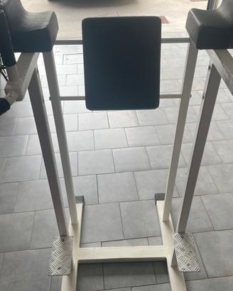 DIP /parallele per addominali e trazioni