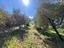 Immagine 19
