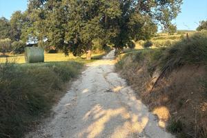 Rudere con terreno zona Cingoli