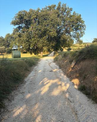 Rudere con terreno zona Cingoli