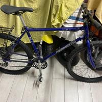 Mtb restaurata 26 pollici