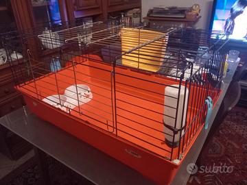 gabbia per roditori