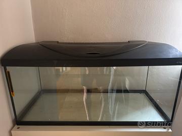 Acquario/Terrario 80x35x35