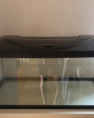 Acquario/Terrario 80x35x35