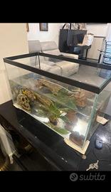 Acquario