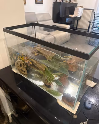 Acquario