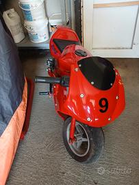 mini moto