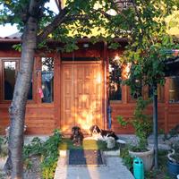 tettoia stanza in legno 