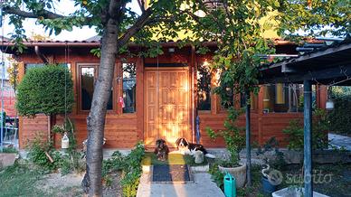 tettoia stanza in legno 