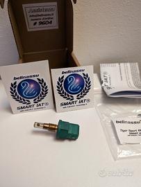 Smart IAT Bellinassu Tiger sport 660 2021-2024