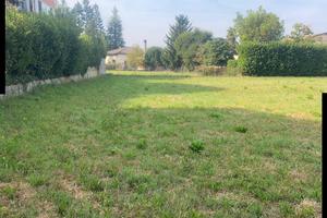 Terreno agricolo