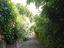 Immagine 19