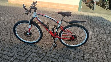 MTB Esperia ruote 29,5"