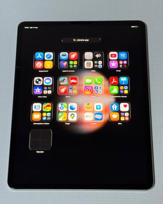 Ipad pro 12.9 wifi