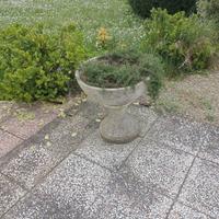 Vaschette di cemento