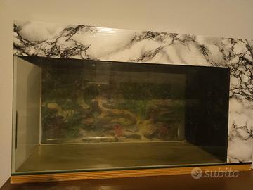 Acquario vintage