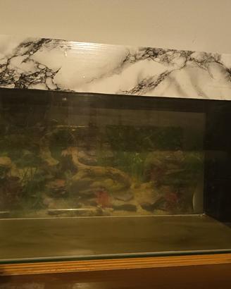 Acquario vintage