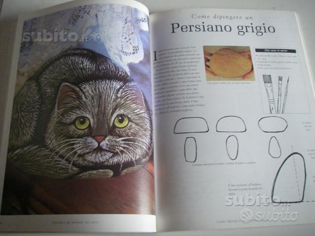 Dipingere Sassi - Animali — Libro