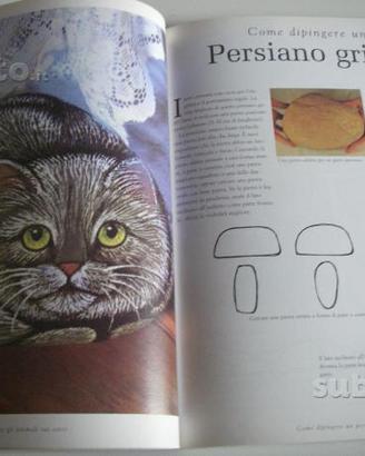 Dipingere sui sassi