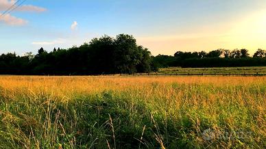 Terreno agricolo a cassano magnago (milanello)