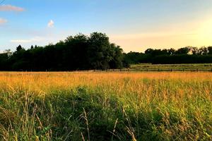 Terreno agricolo a cassano magnago (milanello)
