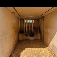 Box x cavalli coibentato