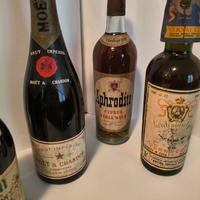 Brandy Cognac Vino Grappa rum