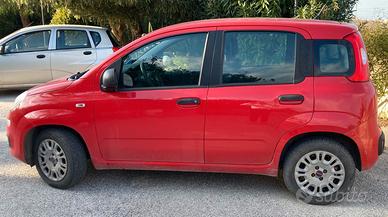 Panda 1200 easy benzina