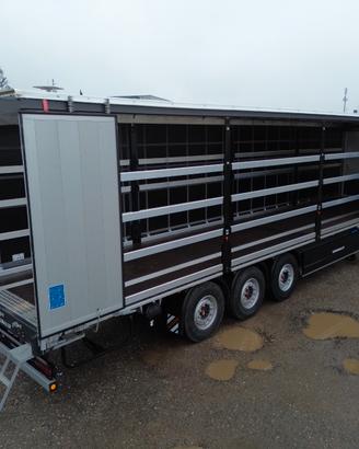 Semirimorchio Centinato Schwarzmuller Nuovo