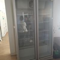 frigo