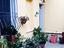 Immagine 6