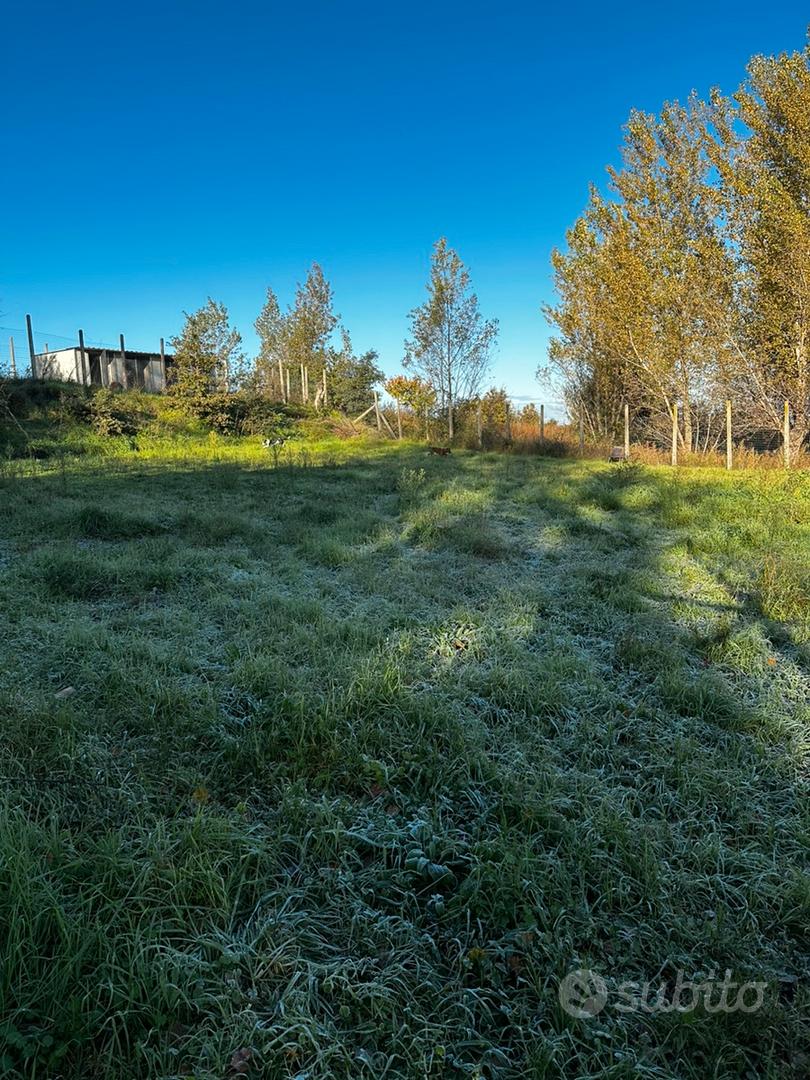 Terreno agricolo - Pollena Trocchia - Vista 5