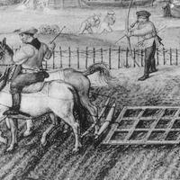 erpice antico da cavallo, collane è finimenti tiro